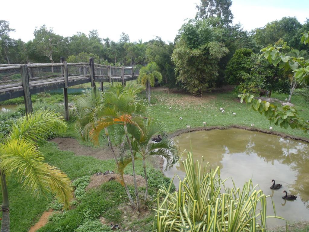 Daintree Wild Bed&Breakfast Exterior foto
