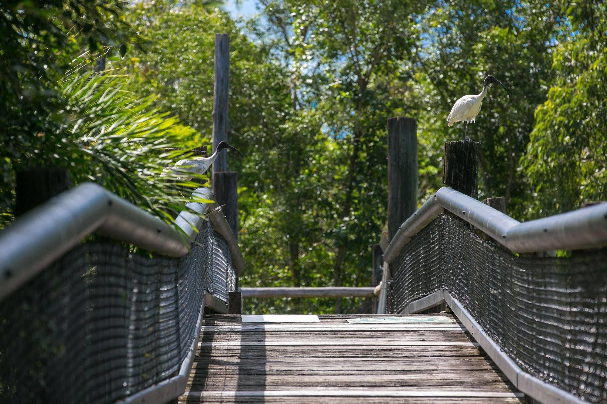Daintree Wild Bed&Breakfast Exterior foto
